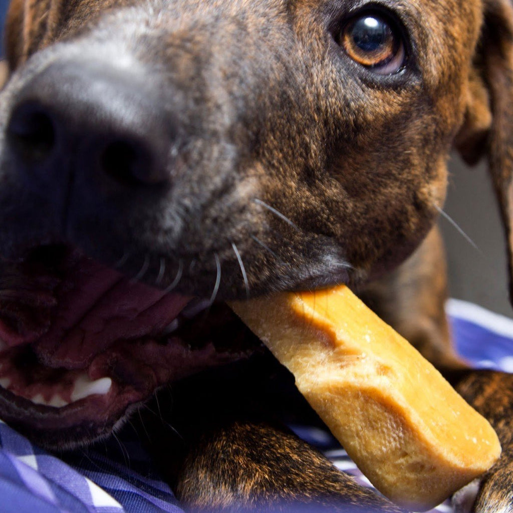 Gold Yak Chews pour Grands Chiens