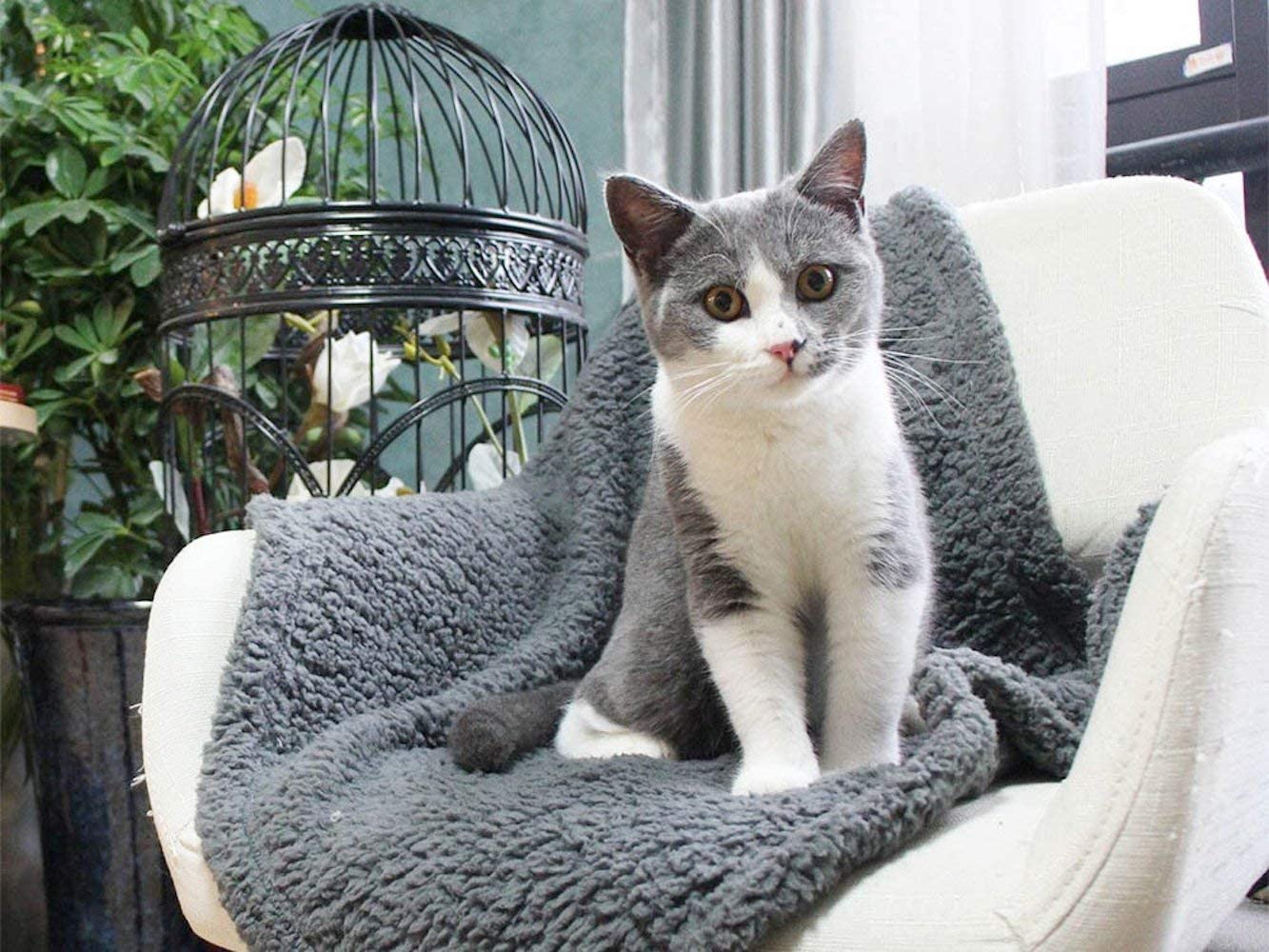 Couverture en Polaire Douce pour Chiens et Chats