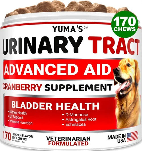 Traitement UTI pour Chien 170 Friandises Supplément Cranberry pour Vessie de Chiens