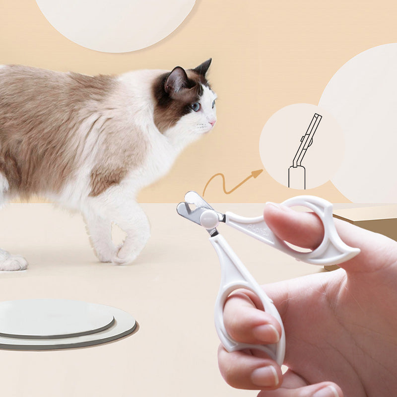 Kit de Brosse de Toilettage pour Chats