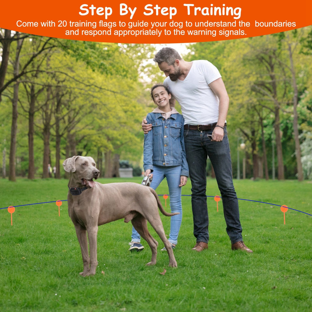 Système de clôture pour chien avec cent éléments