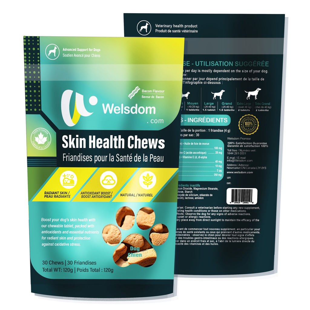Friandises pour la santé de la peau des chiens – Omega-3 et antioxydants