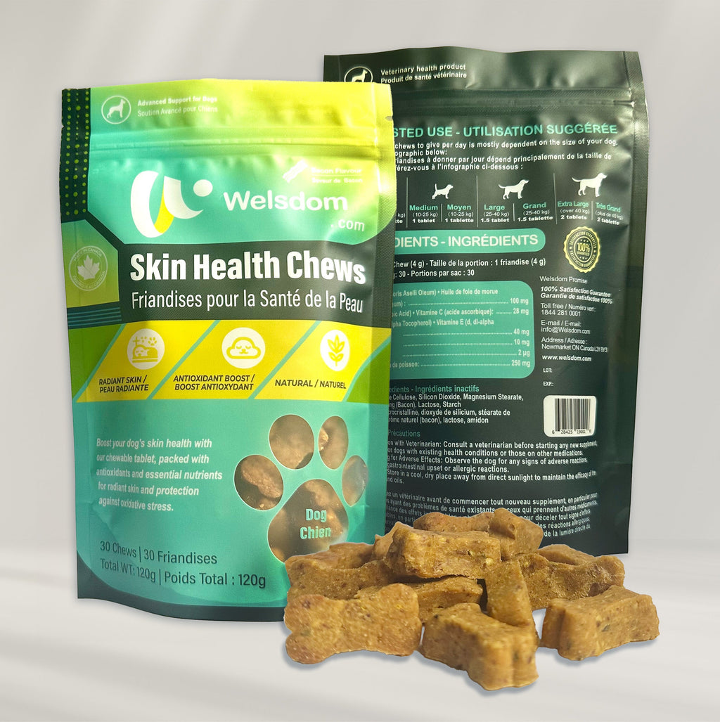 Friandises pour la santé de la peau des chiens – Omega-3 et antioxydants