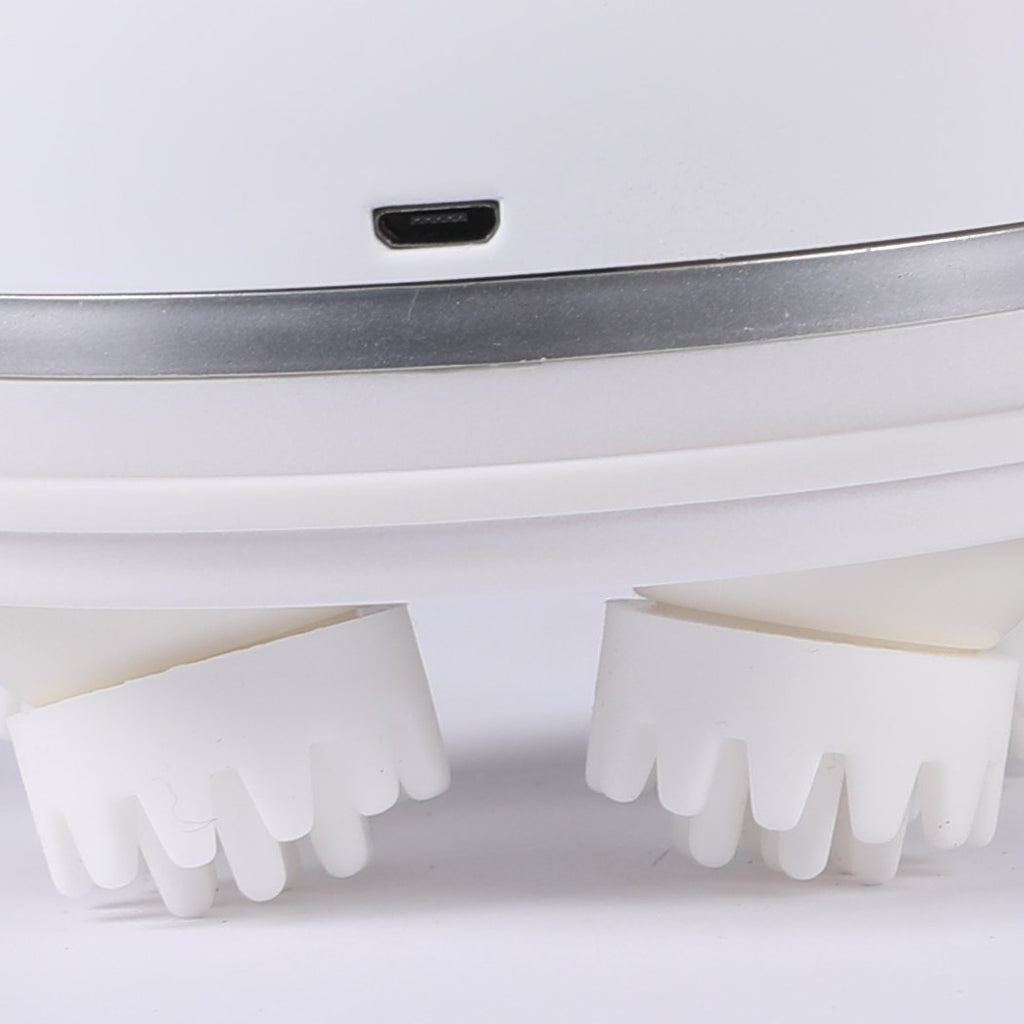 Peignes de toilettage massants pour animaux