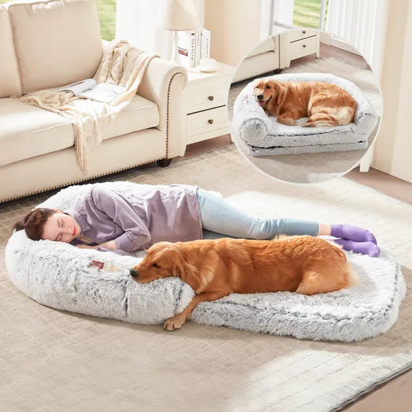 Lit pliable en peluche pour chien : confort ultime à emporter