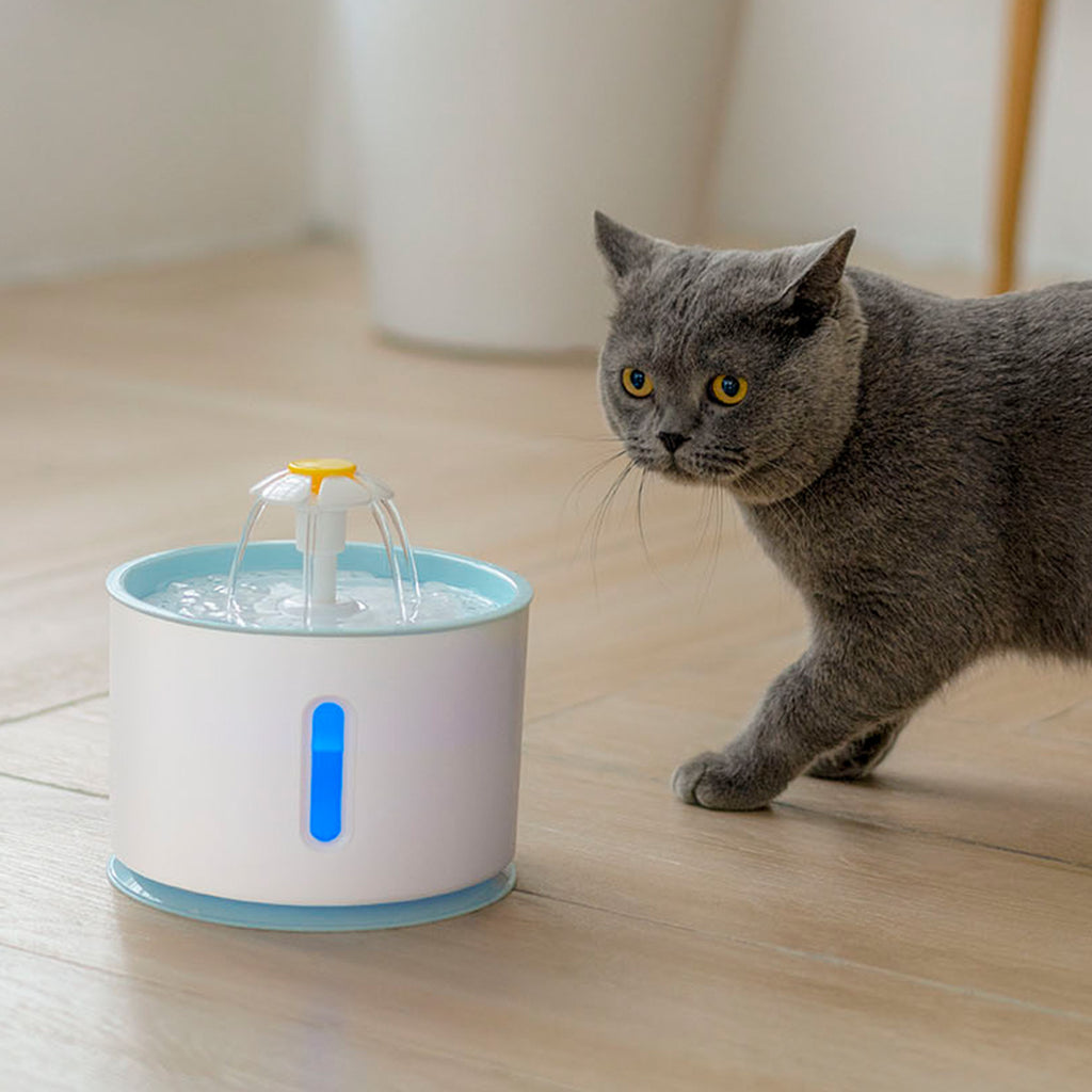 Fontaine à eau pour animaux avec réservoir remplaçable