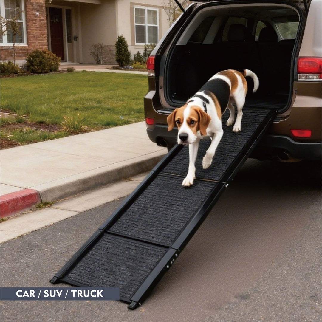 Rampe pour Chien de Voiture 65x17 Grande Rampe Pliable pour Animaux pour Camion, SUV
