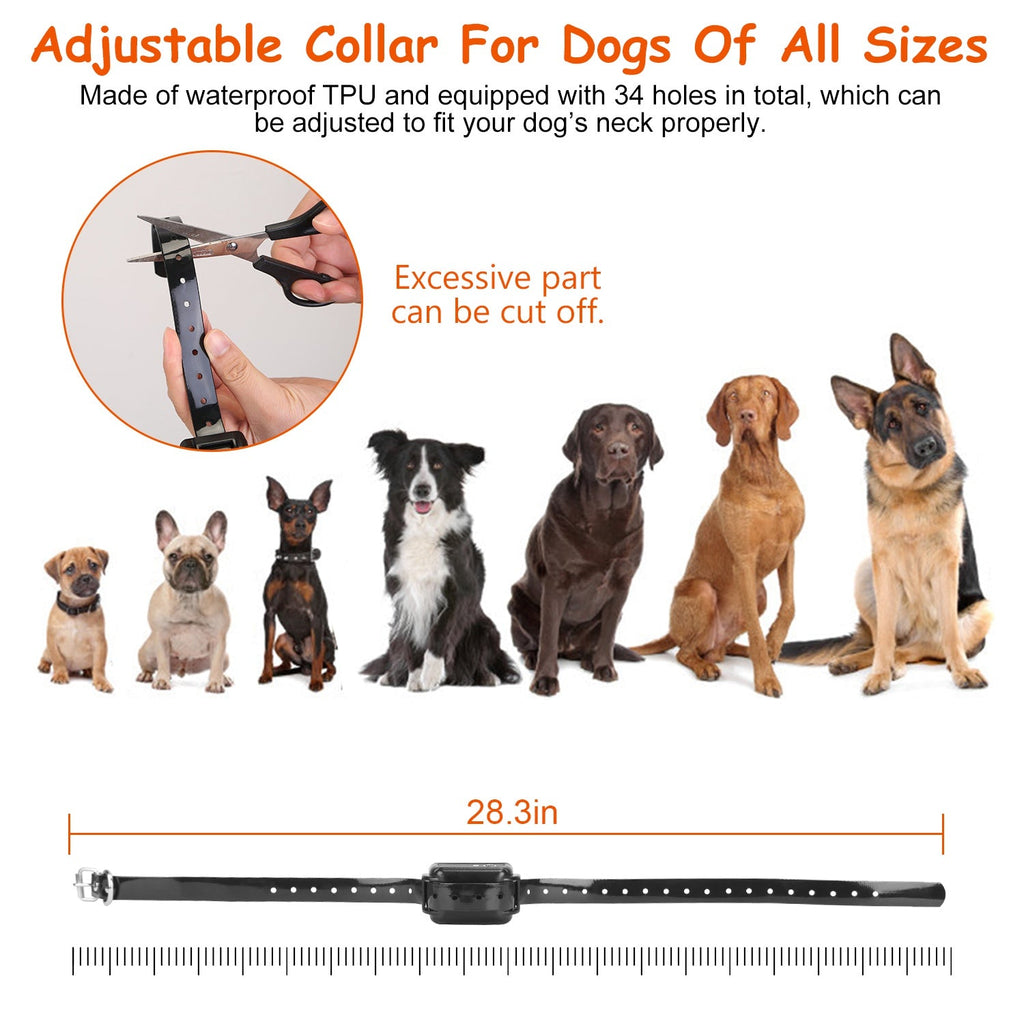 Système de clôture pour chien avec cent éléments