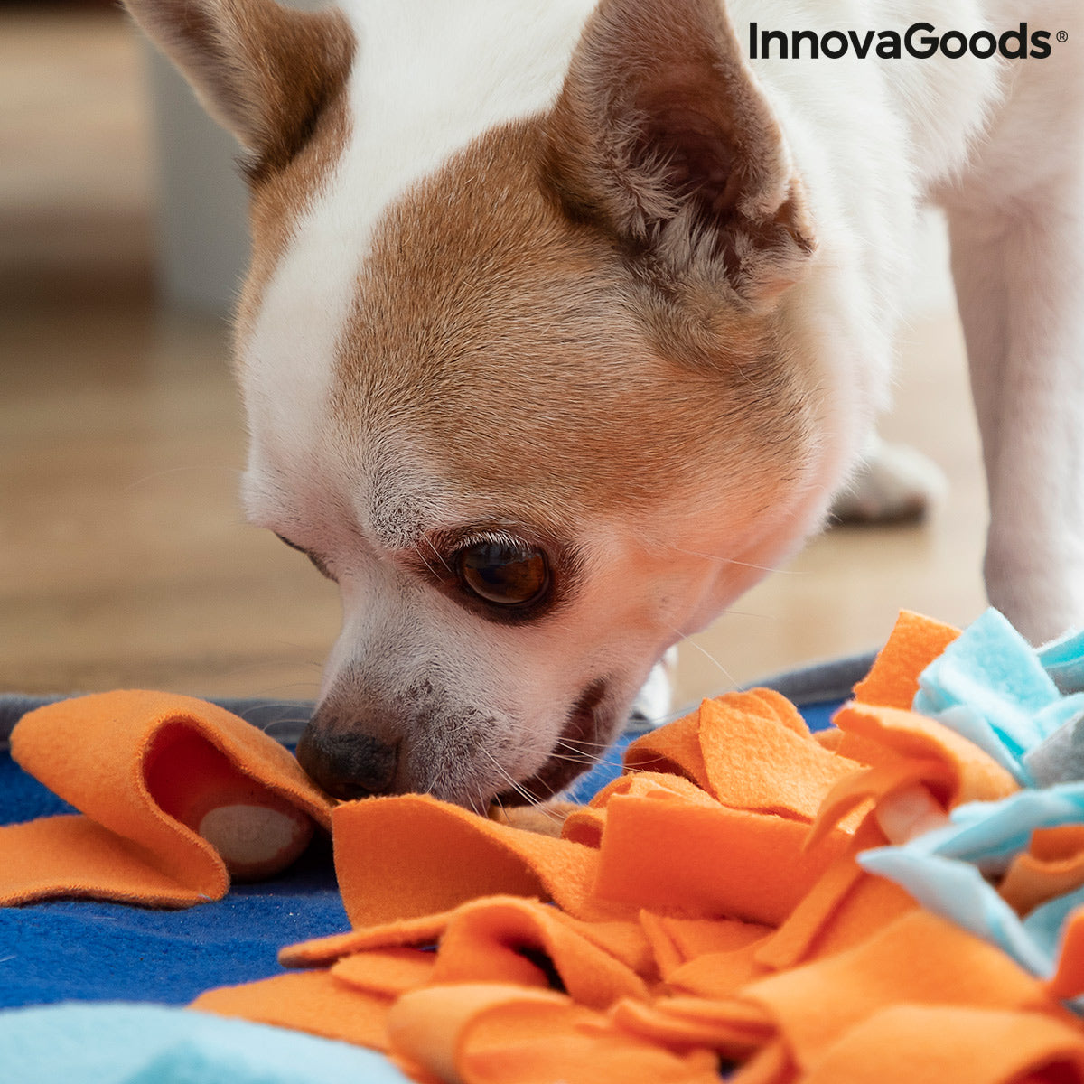 Tapis de reniflement pour animaux