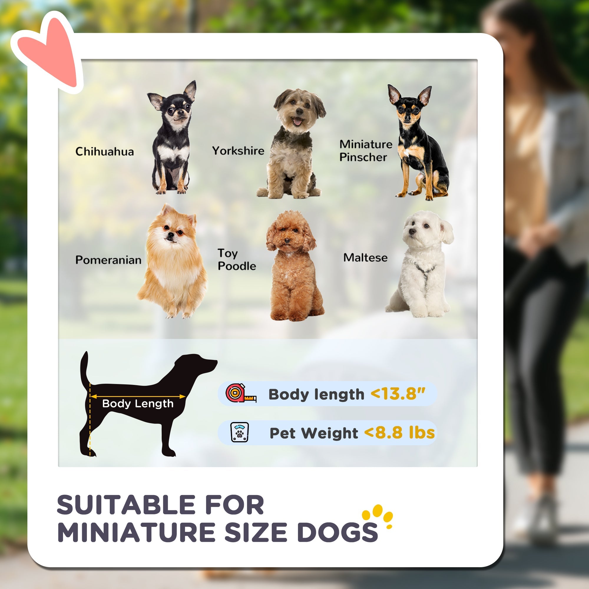 Poussette 3 en 1 pour Animaux : Confort et Polyvalence