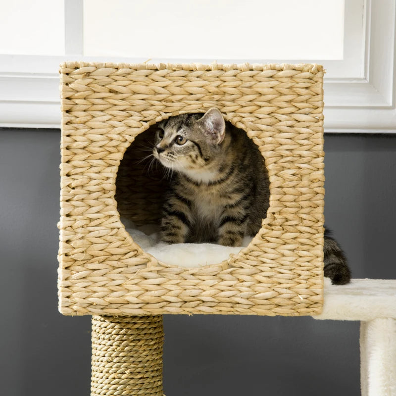 Arbre à chat PawHut en osier pour chats d'intérieur, tour pour chatons avec rotin