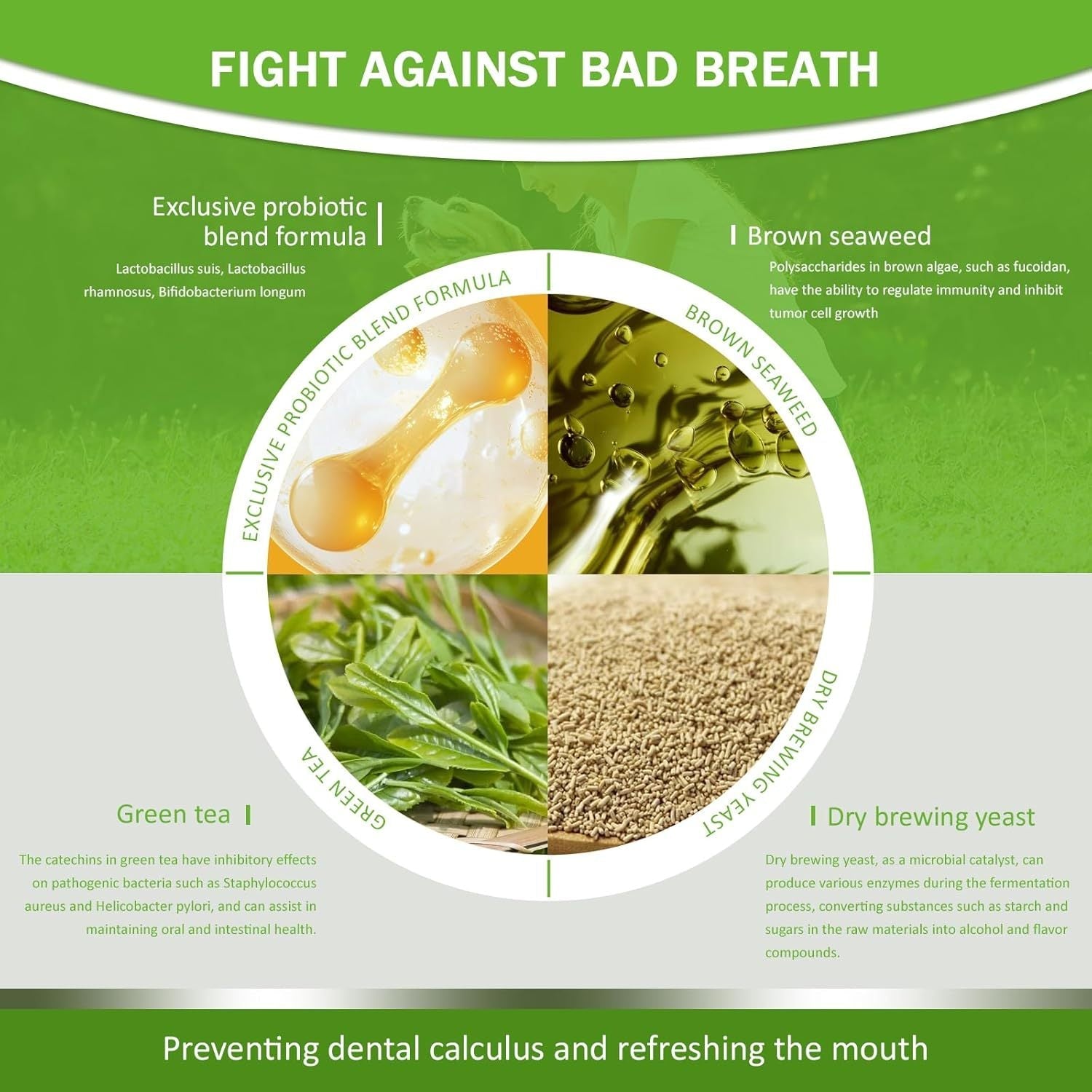 Poudre dentaire pour animaux - Rafraîchit l'haleine, protège les gencives et renforce