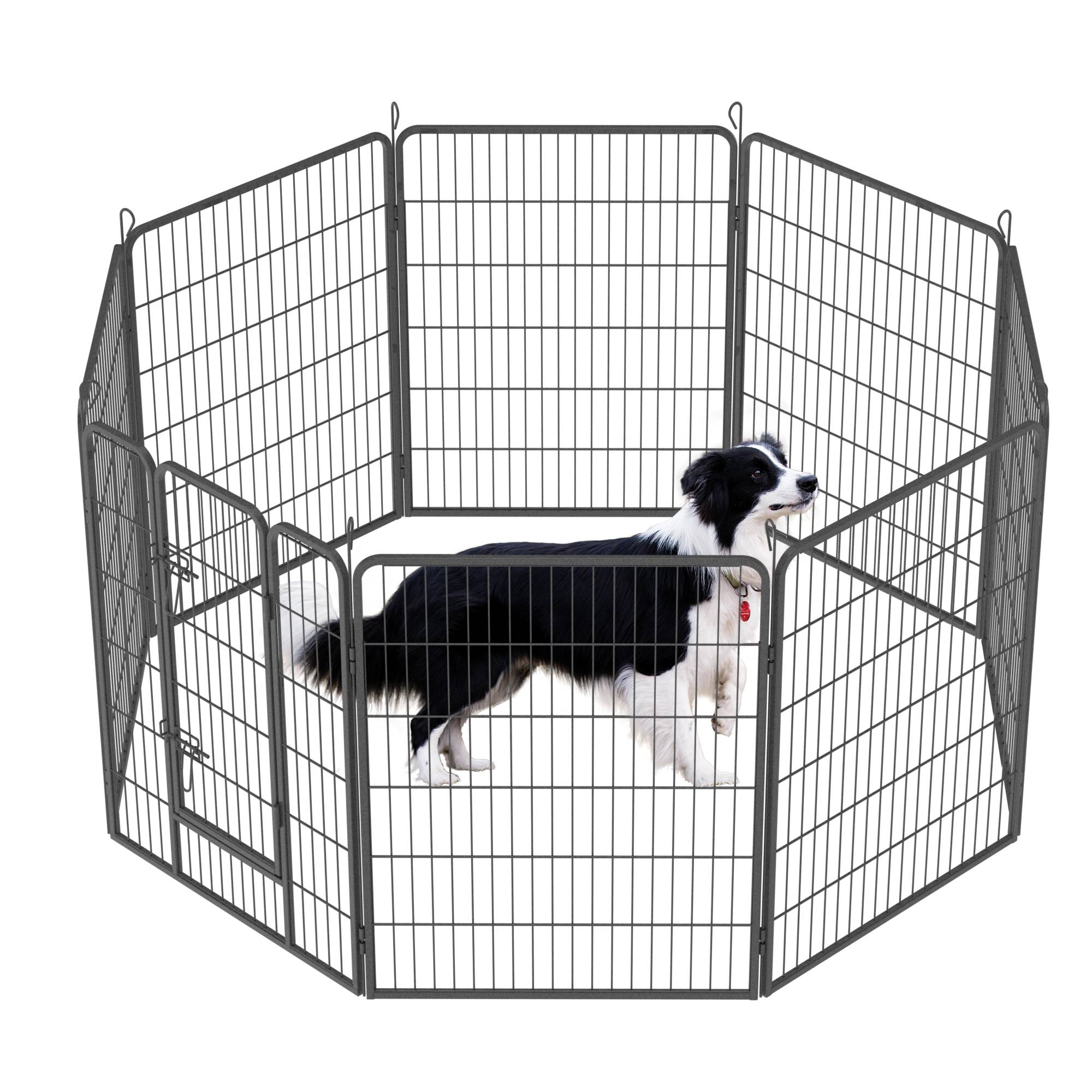 Clôture Extérieure Sécurisée pour Grands Chiens - Liberté de Jeu