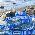 Laisse pour chien Ride the Waves