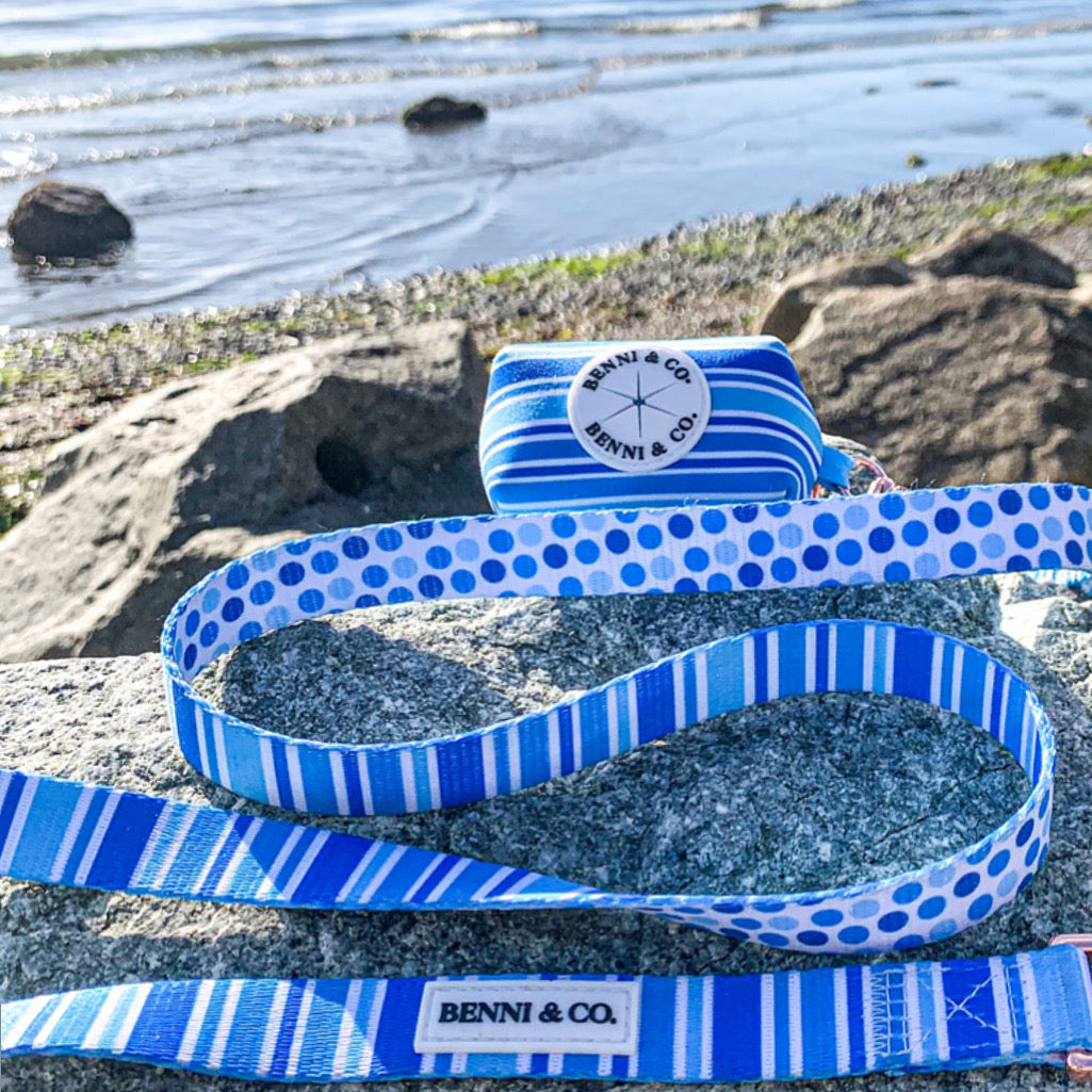 Laisse pour chien Ride the Waves