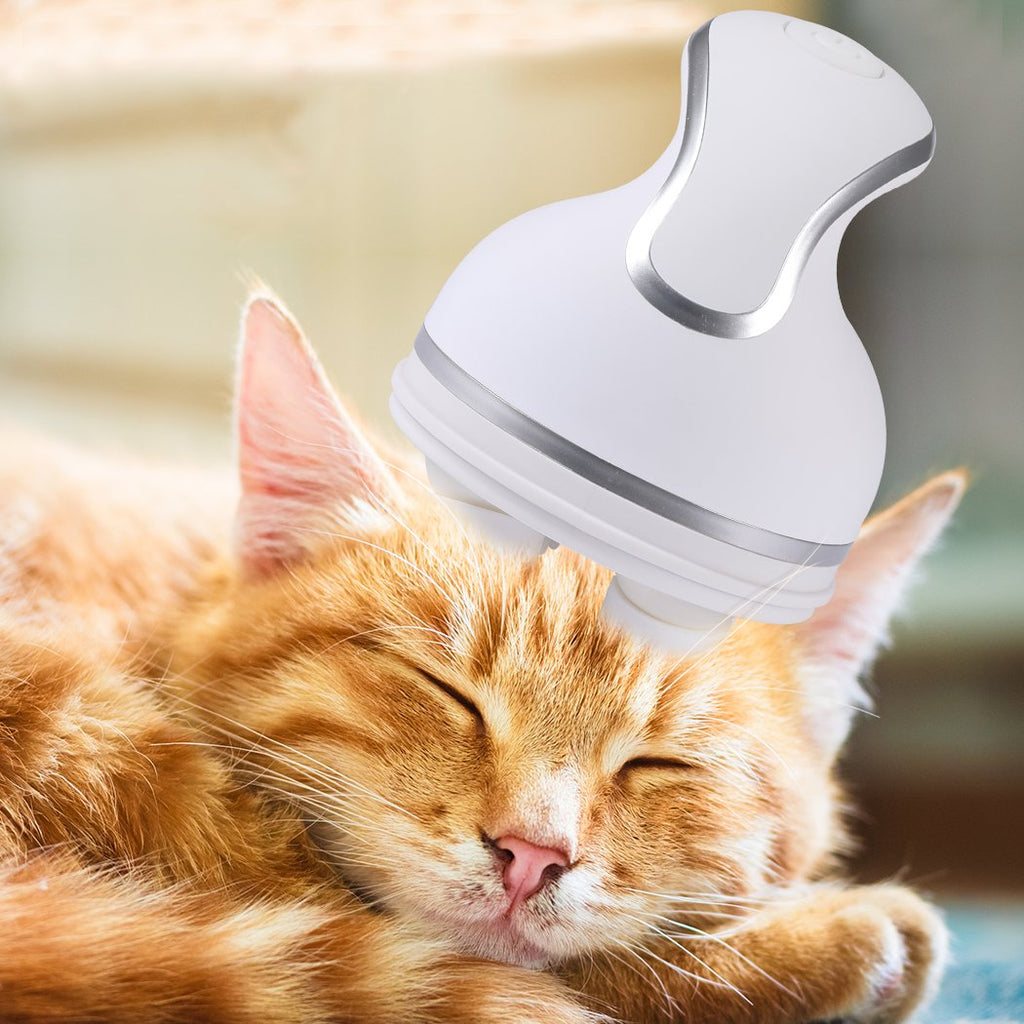 Peignes de toilettage massants pour animaux