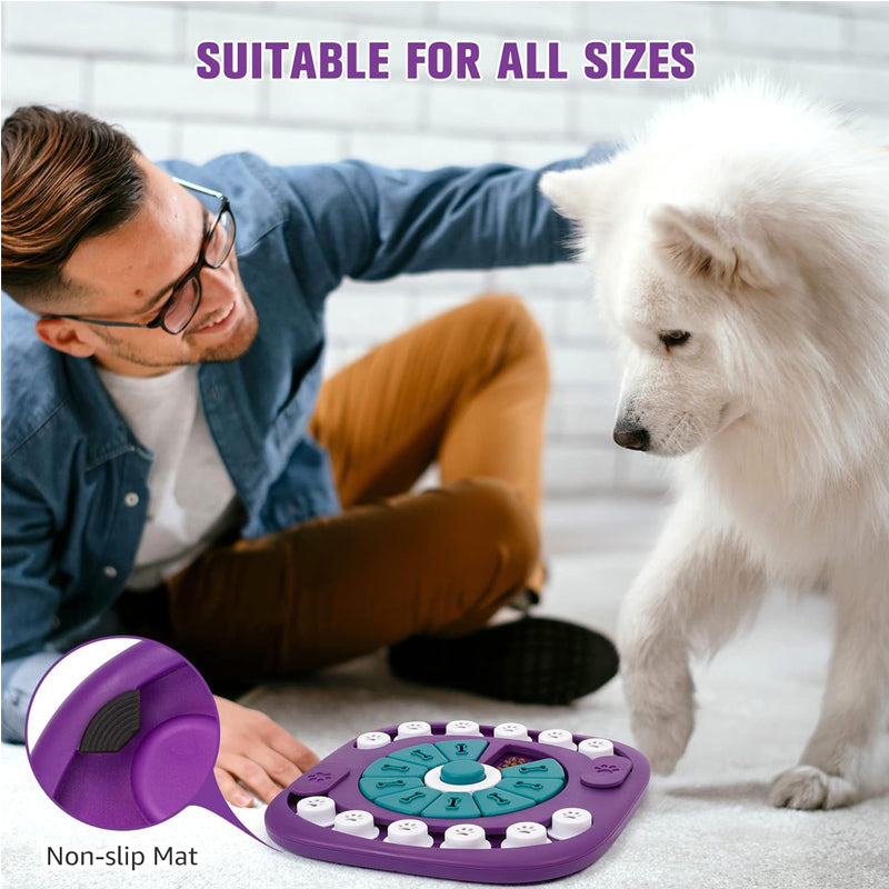 Jouet Puzzle Interactif pour Chien