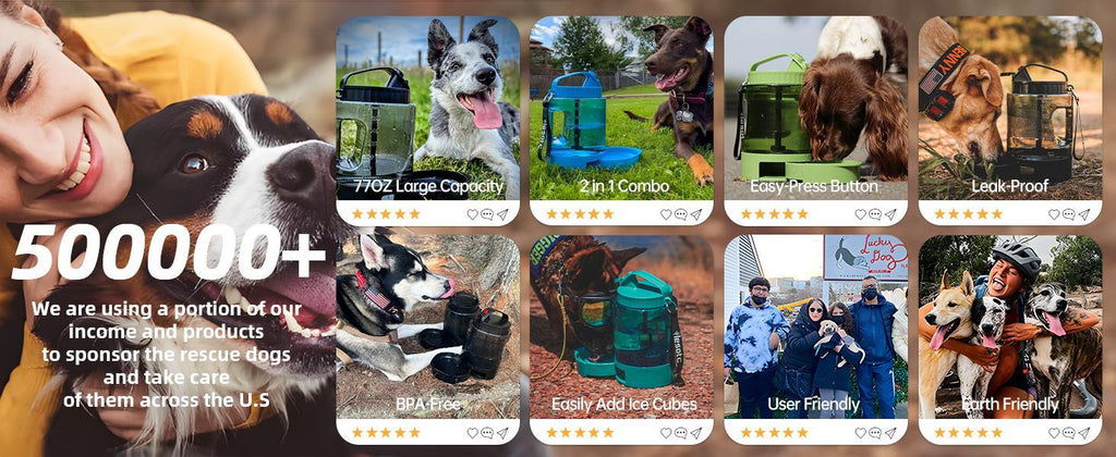 Bouteille d'Eau de Voyage pour Chien, Grande Capacité
