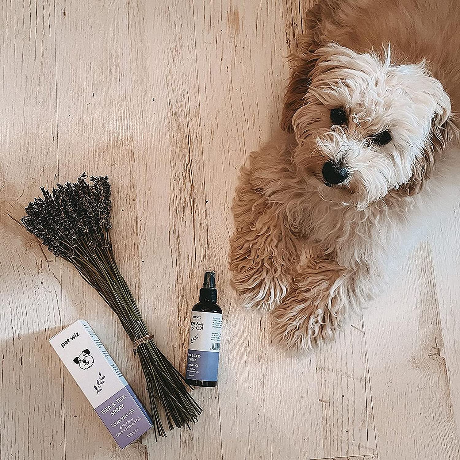 Spray biologique contre les puces et les tiques pour chiens et chats