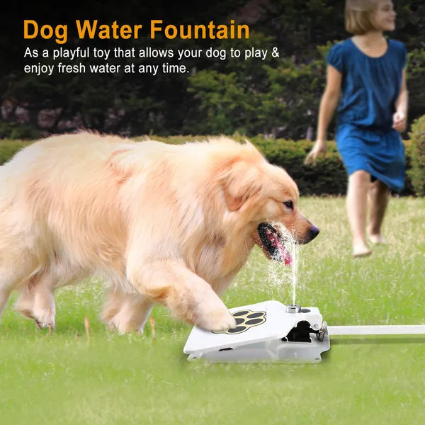 Fontaine d'Eau Extérieure pour Chien