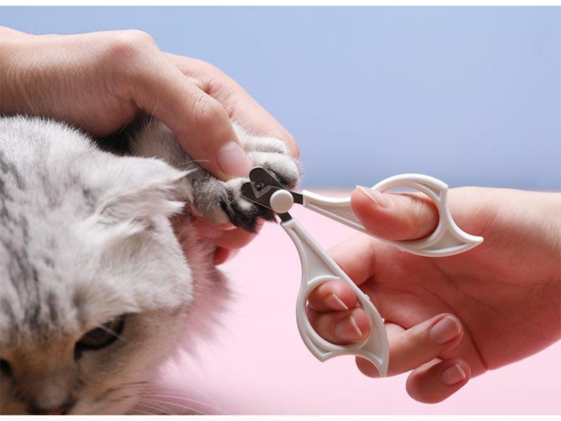 Kit de Brosse de Toilettage pour Chats