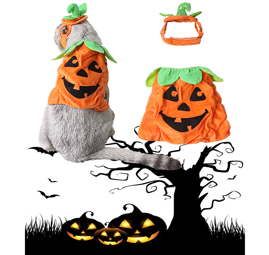 Accessoires de Costume Créatifs pour Chats d'Halloween - Citrouille