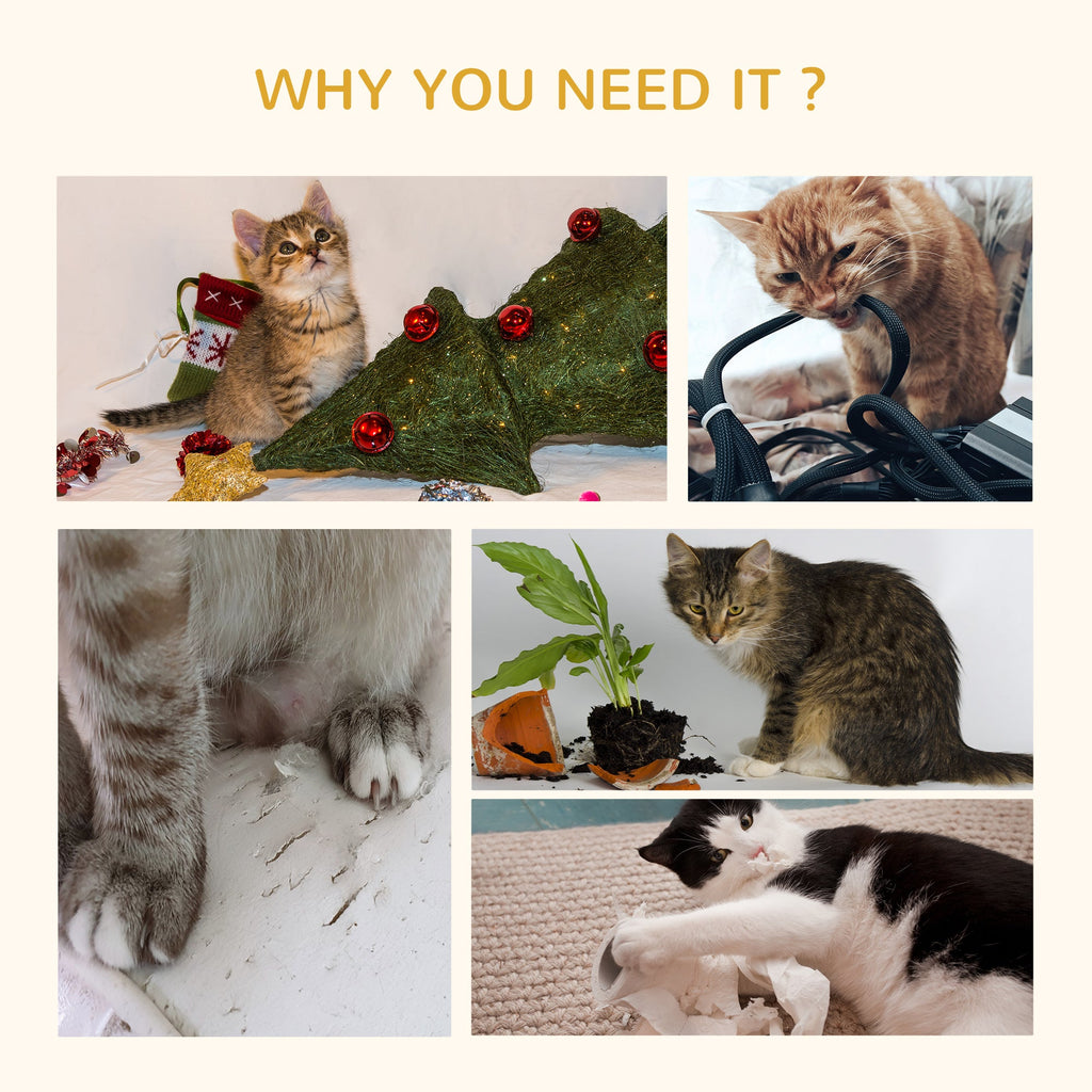 Arbre à Chats en Rattan : Confort et Sécurité pour Votre Félin