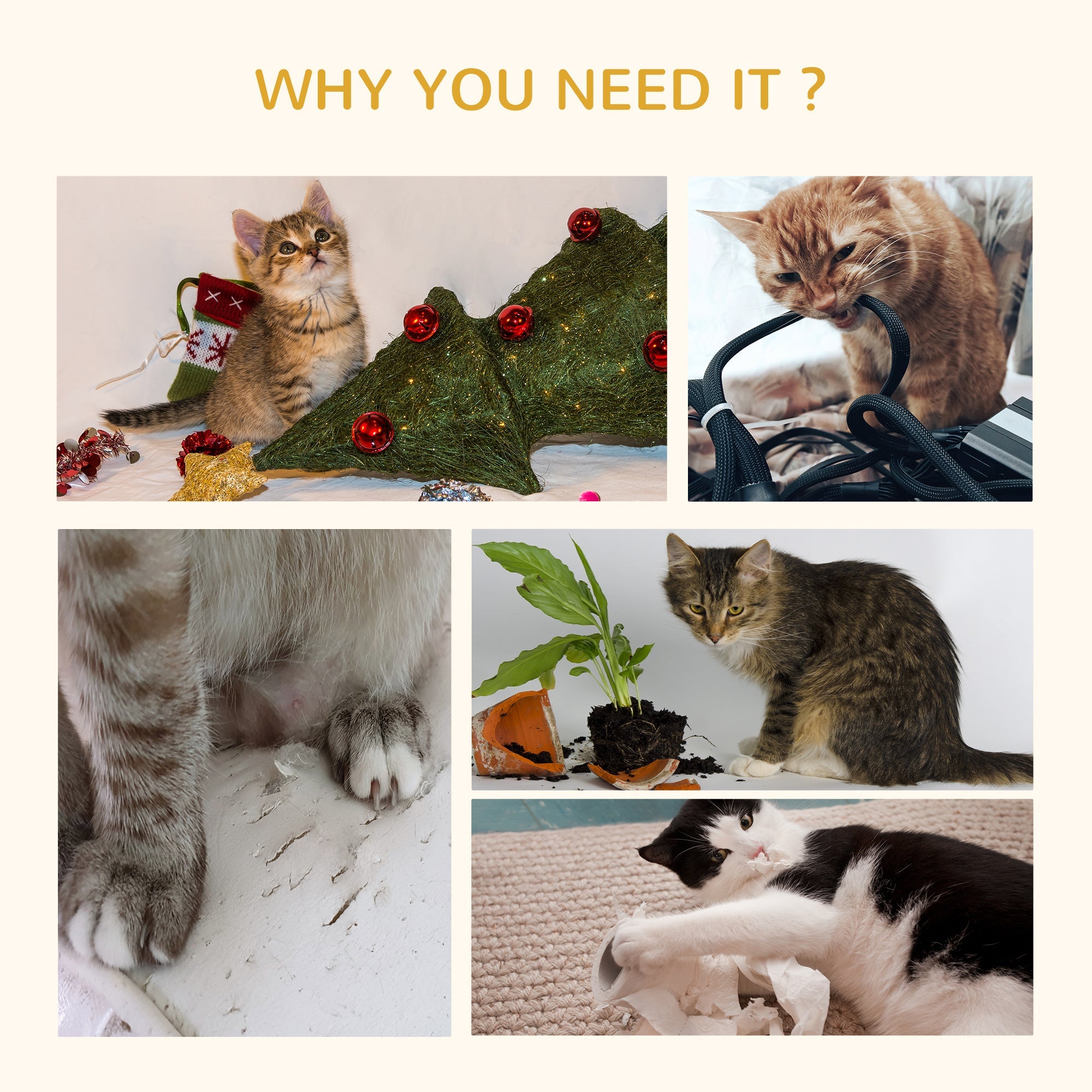 Arbre à Chats en Rattan : Confort et Sécurité pour Votre Félin