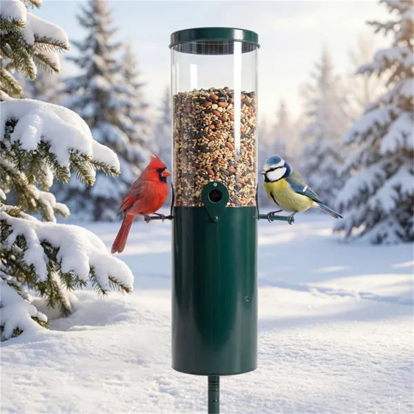 Mangeoire à Oiseaux sur Pied : Protection Anti-Écureuils