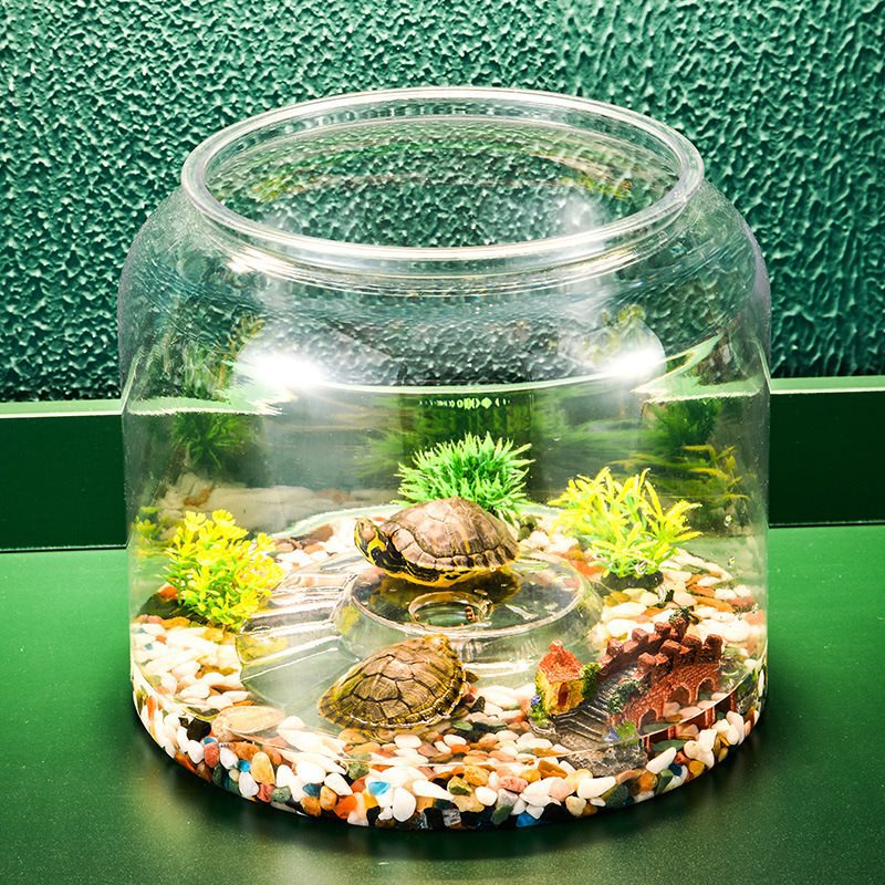 Réservoir à Poissons Écologique : Apportez Nature et Sérénité