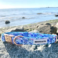Collier pour Chien Évasion Plage
