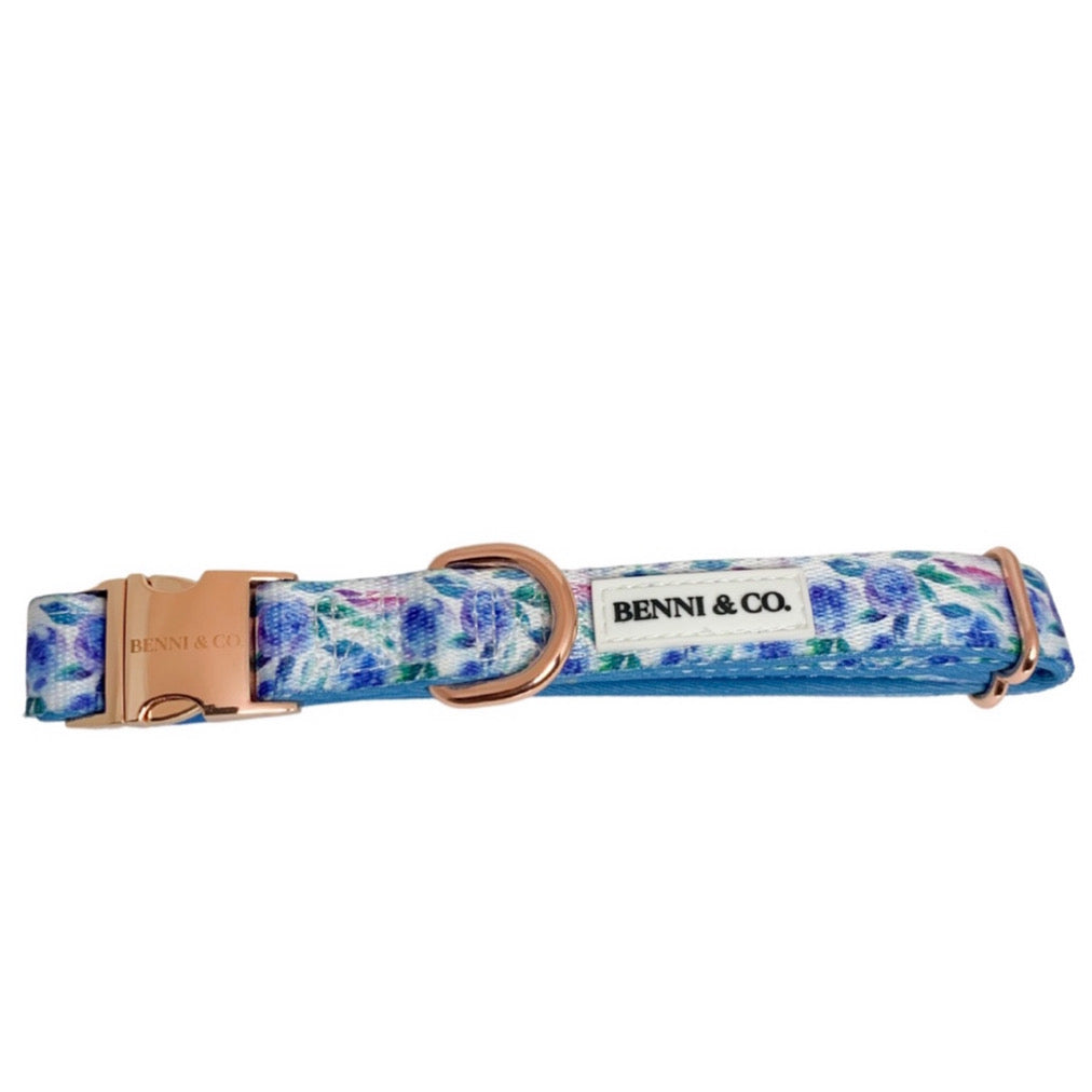 Collier pour Chien Évasion Plage
