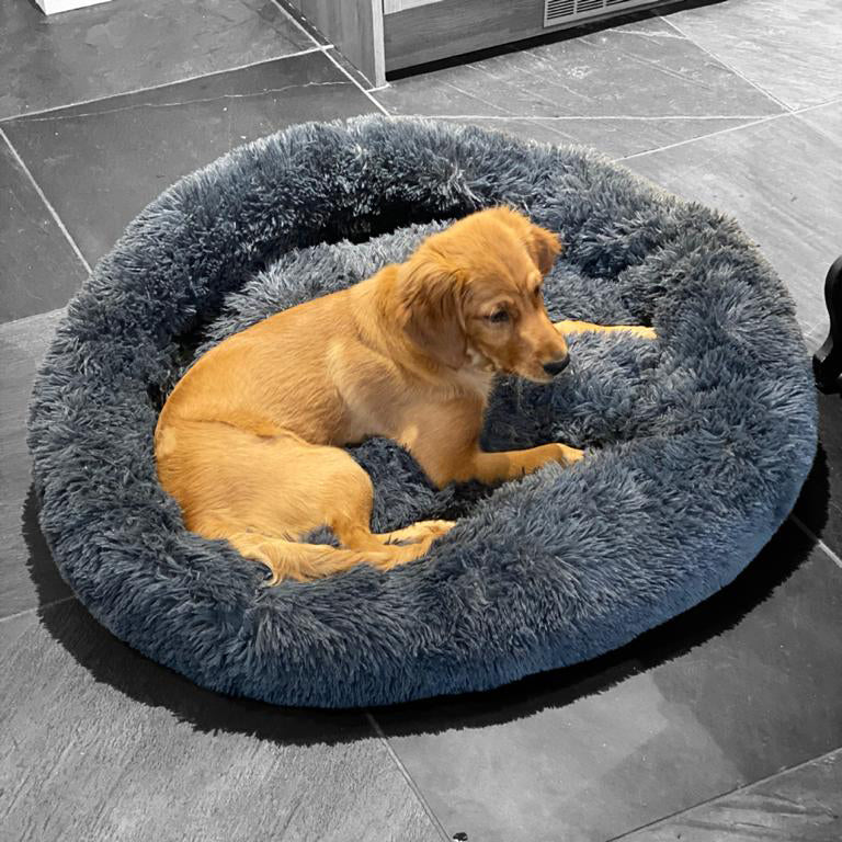 Lit donut apaisant chien & chat