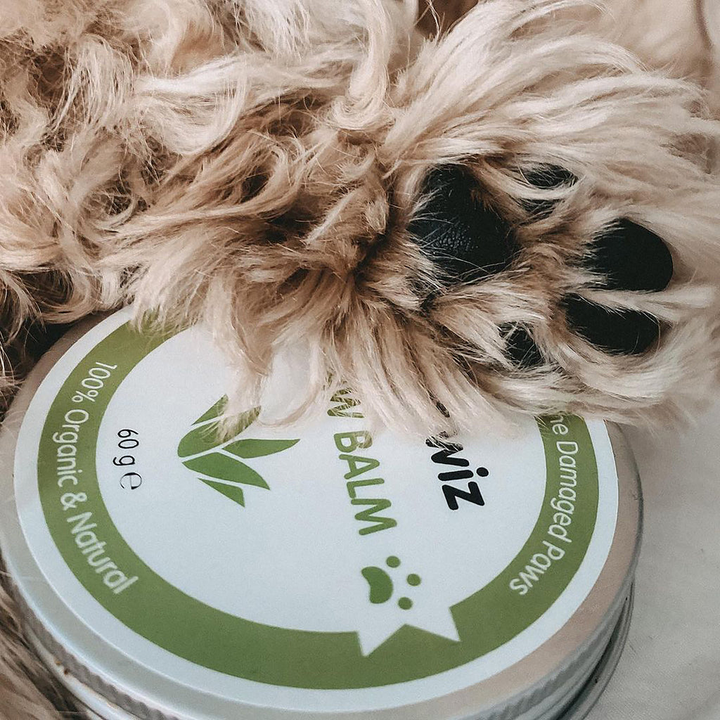 Baume bio pour pattes et nez des chiens et des chats