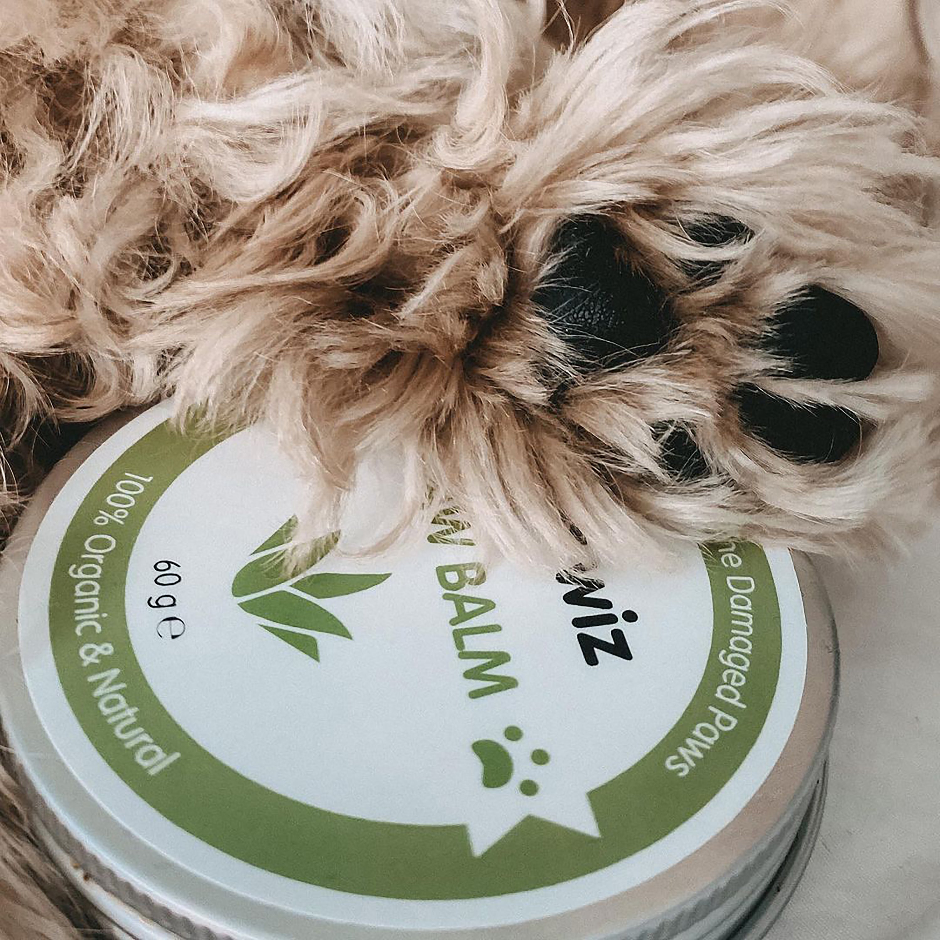 Baume bio pour pattes et nez des chiens et des chats
