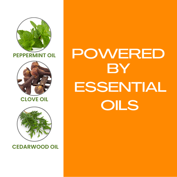 Shampooing Anti-Puces & Tiques pour Animaux - Alimenté par des ingrédients naturels d'origine végétale