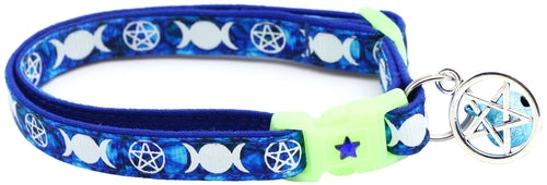 Familiar de Sorcière sur Collier de Chat Saphir
