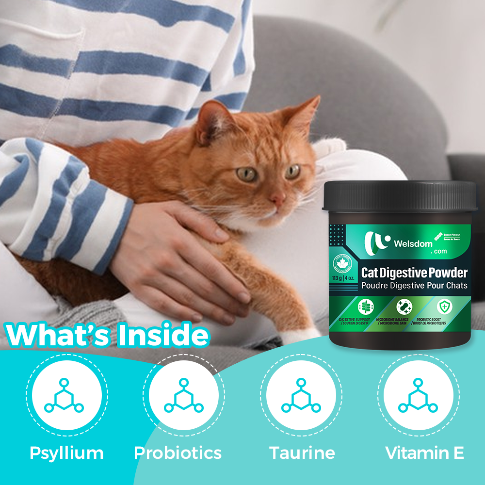 Poudre Digestive pour Chat