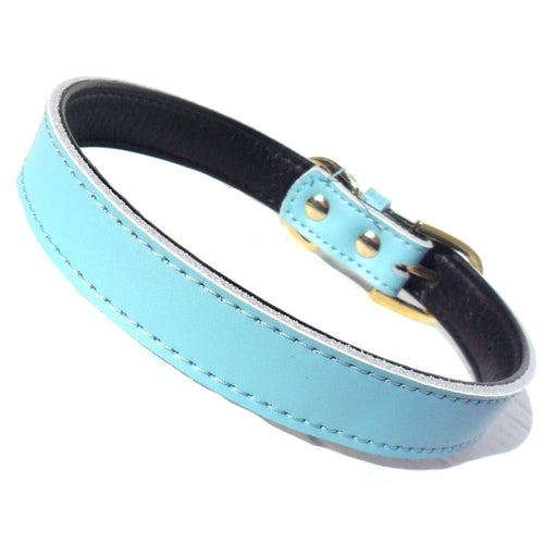 Colliers pour chiens Chelsea unis (4 tailles) 20-40 cm