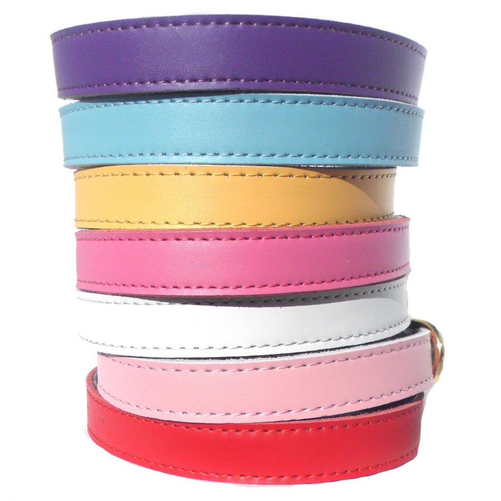 Colliers pour chiens Chelsea unis (4 tailles) 20-40 cm