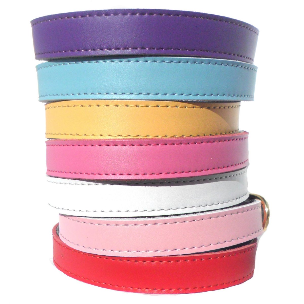 Colliers pour chiens Chelsea unis (4 tailles) 20-40 cm