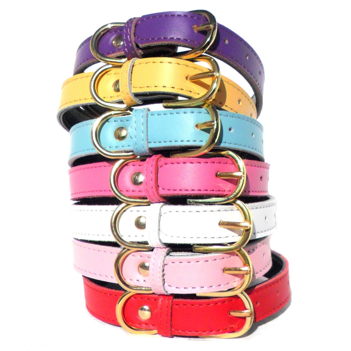 Colliers pour chiens Chelsea unis (4 tailles) 20-40 cm