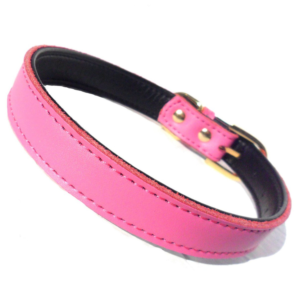 Colliers pour chiens Chelsea unis (4 tailles) 20-40 cm