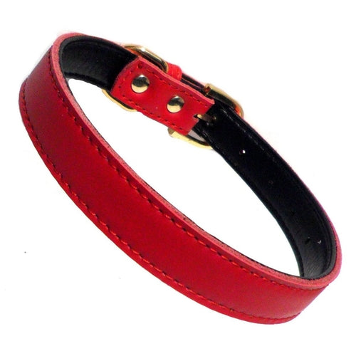 Colliers pour chiens Chelsea unis (4 tailles) 20-40 cm
