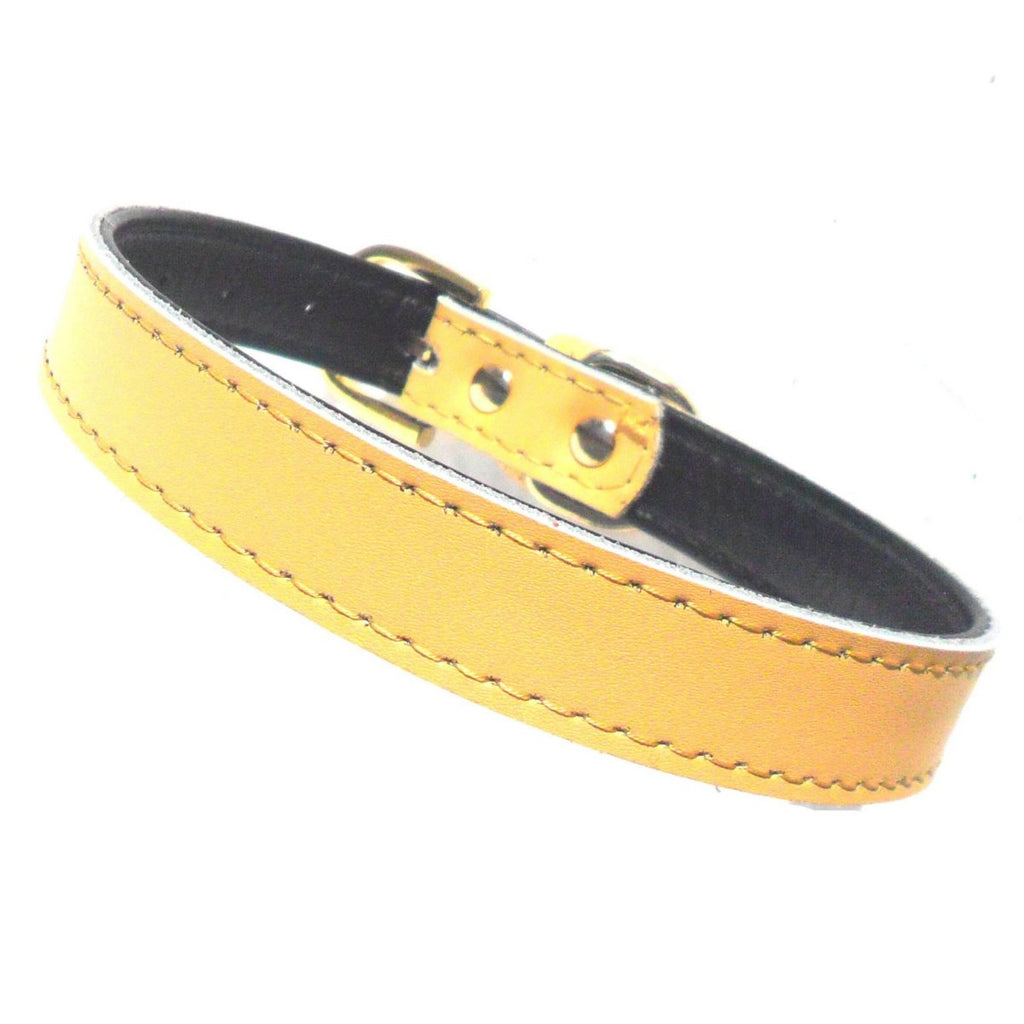 Colliers pour chiens Chelsea unis (4 tailles) 20-40 cm