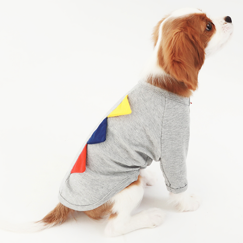 Costume pour animaux