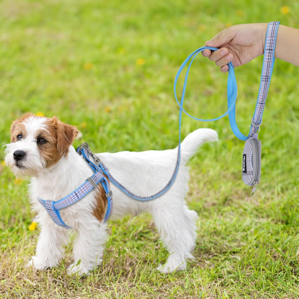 Harnais Réglable en Nylon pour Chiens et Chiots