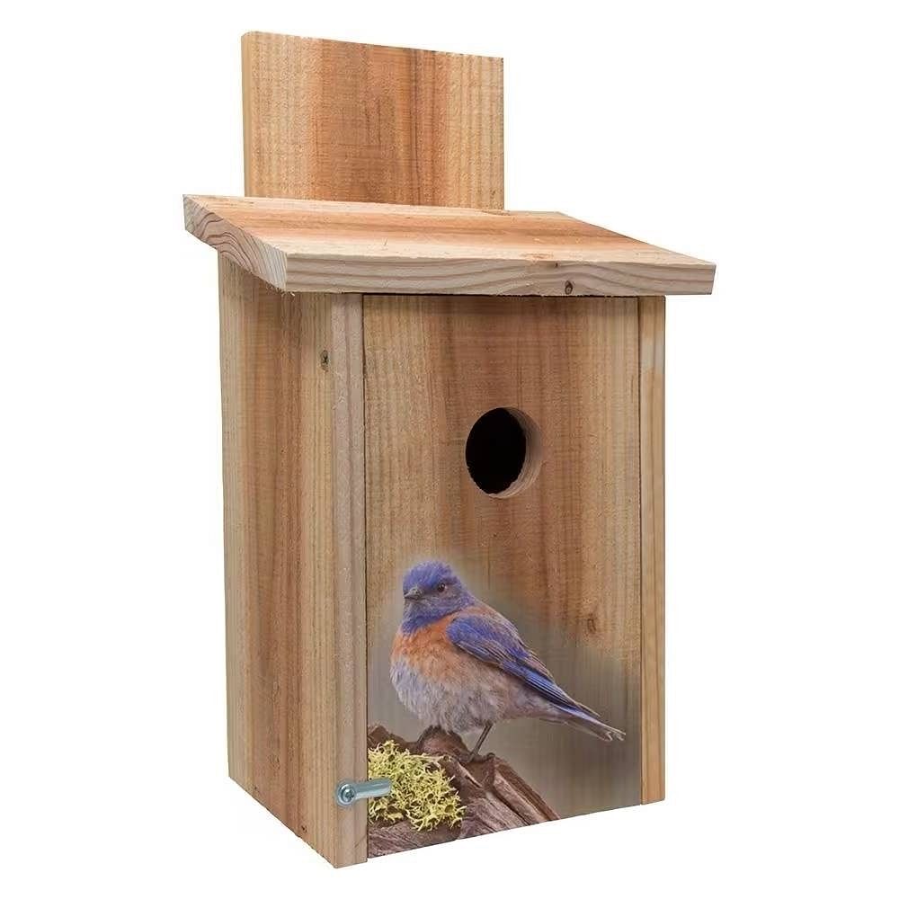 Nichoir en Cèdre pour Oiseaux Bleus