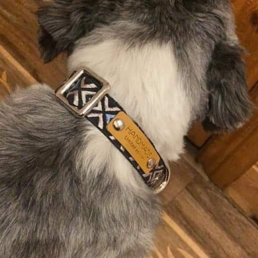 Laisse Chien Blue Fusion Finnigan