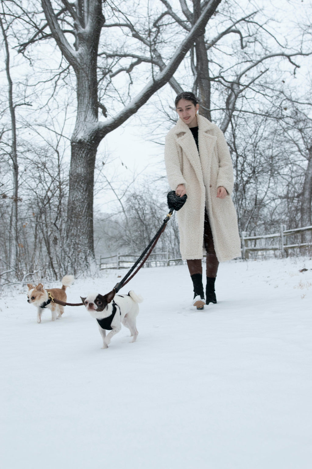 Ensemble Poignée en Fourrure Shearling + Laisse en Corde : Confort et Style